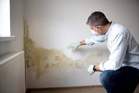 Centereach, NY Mold Remediation Company